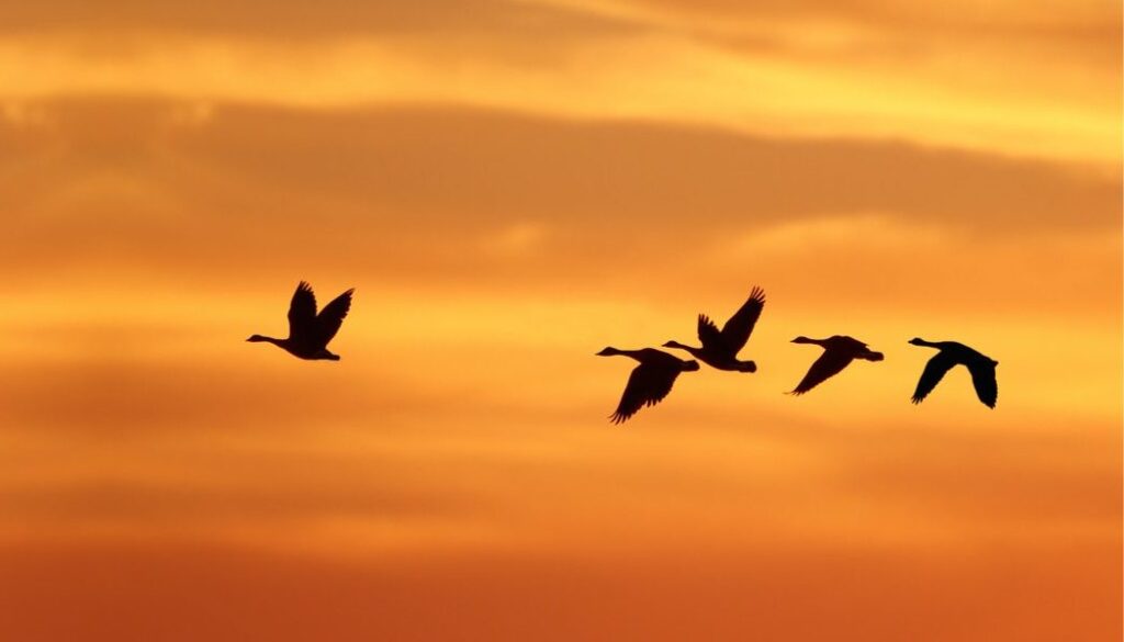 the-paradox-of-authentic-leadership.